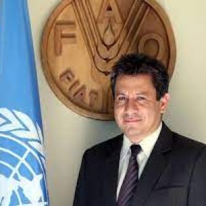 avatar Jorge Meza